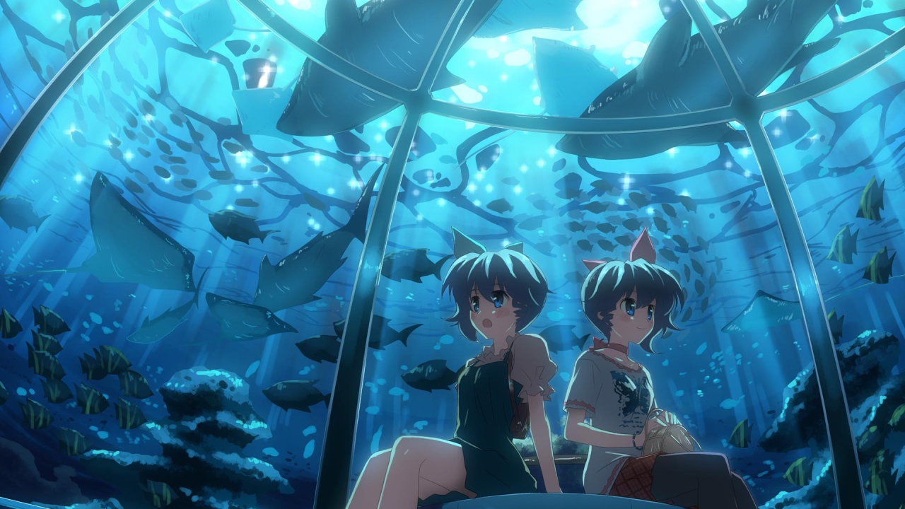 Девчонки в океанариуме