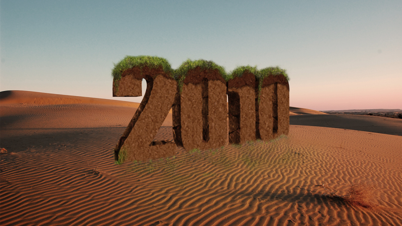 Новый год 2010 пустыня