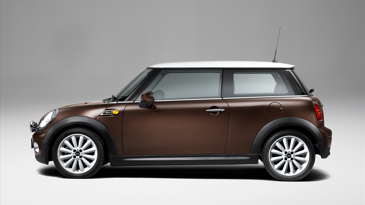 Коричневый Мини