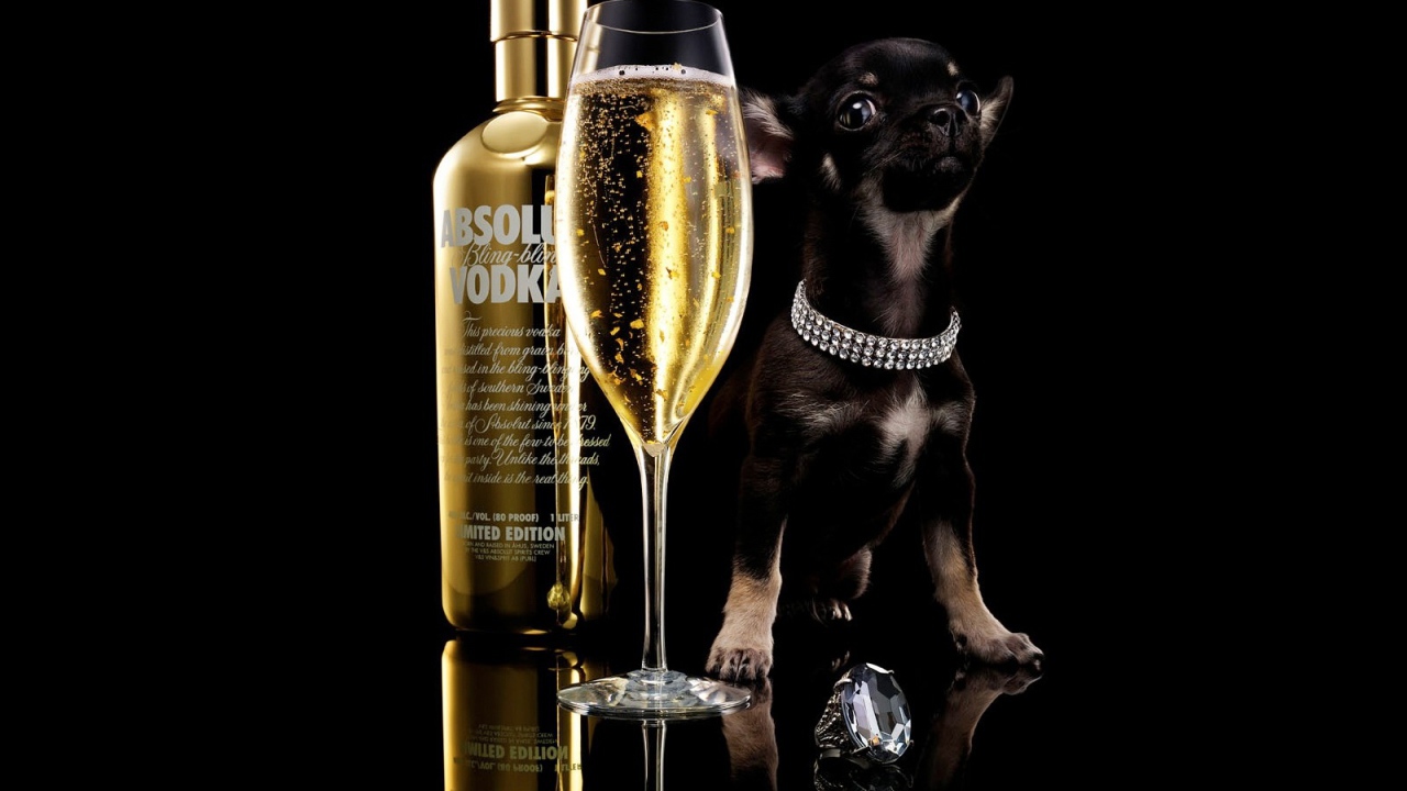 Реклама водки Absolute