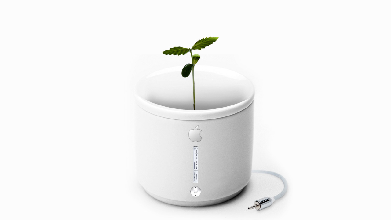 Apple iFlower