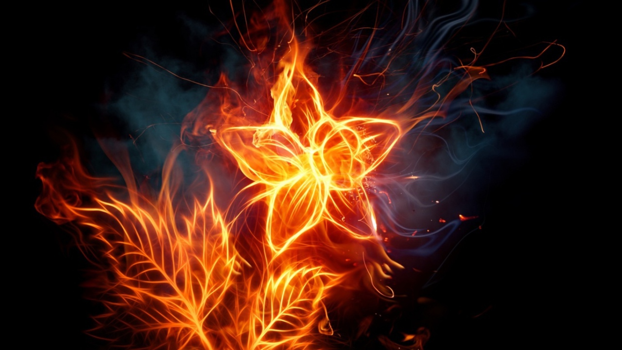 Пылающее растение