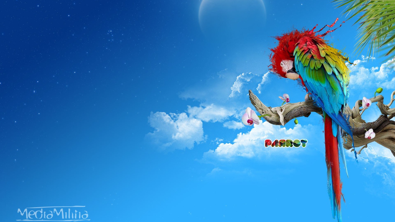 Красочный попугай
