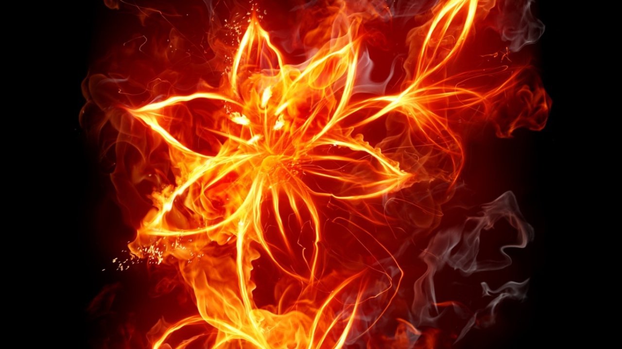 Цветок из огня