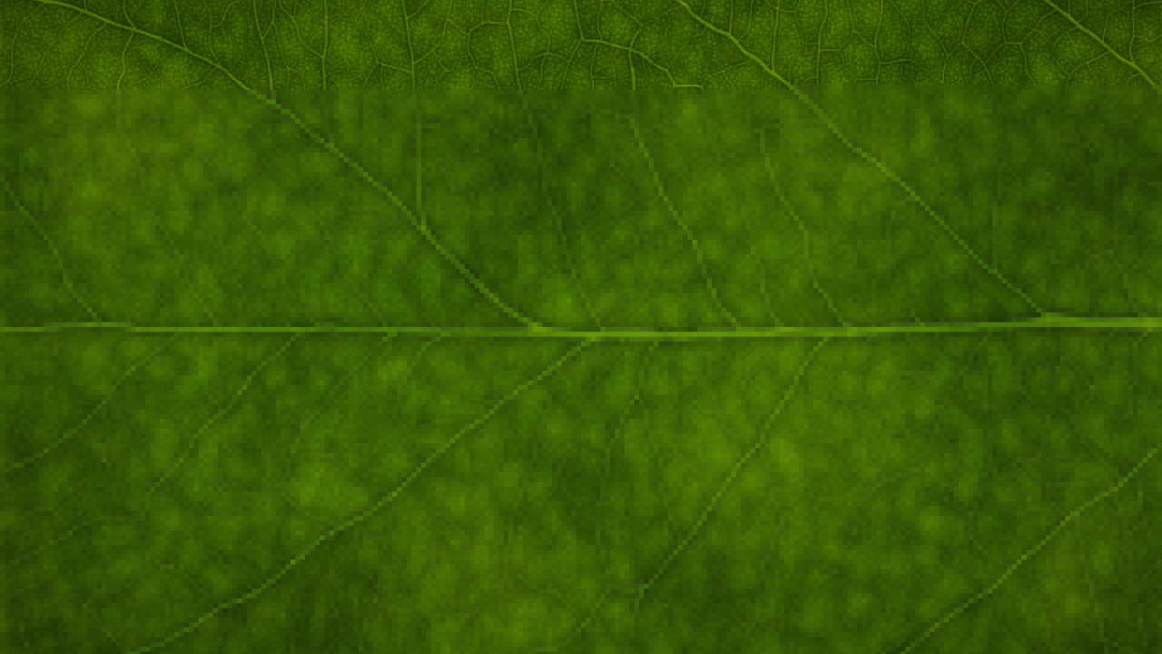 Зеленая листва