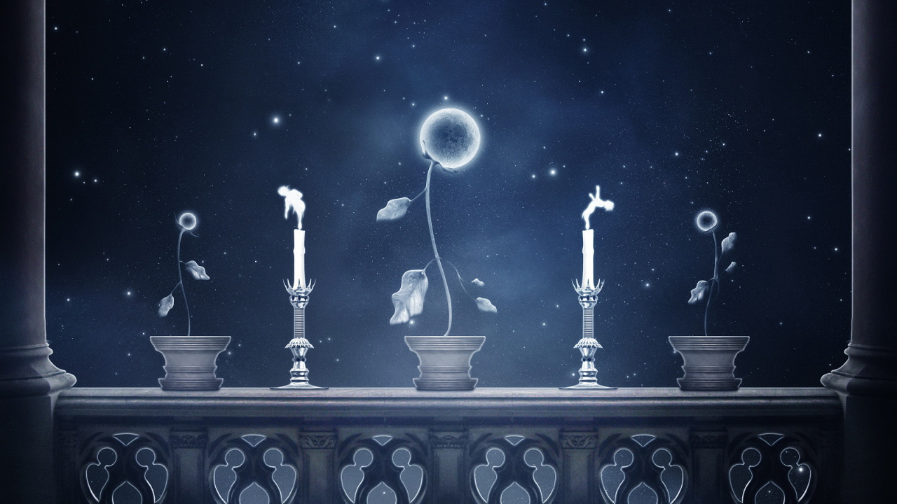 Небесные цветы