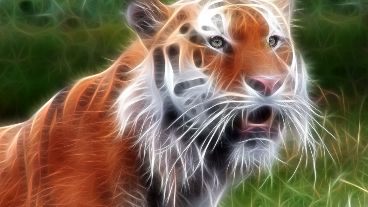 Красавец тигр