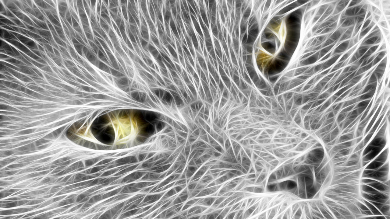 Кошачья мордочка