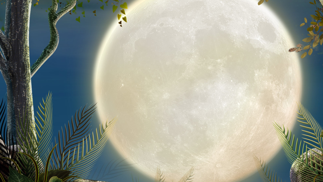 Полная луна