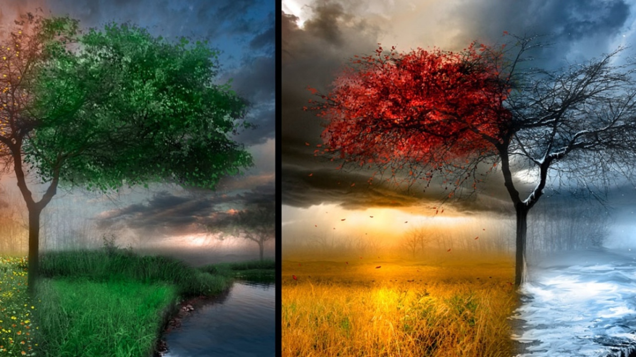 Весна Лето Осень Зима