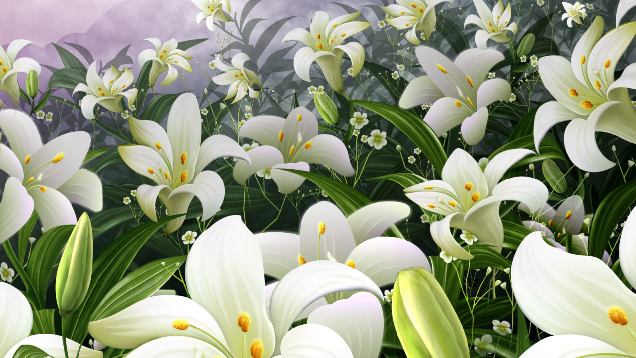 Поле белых цветов