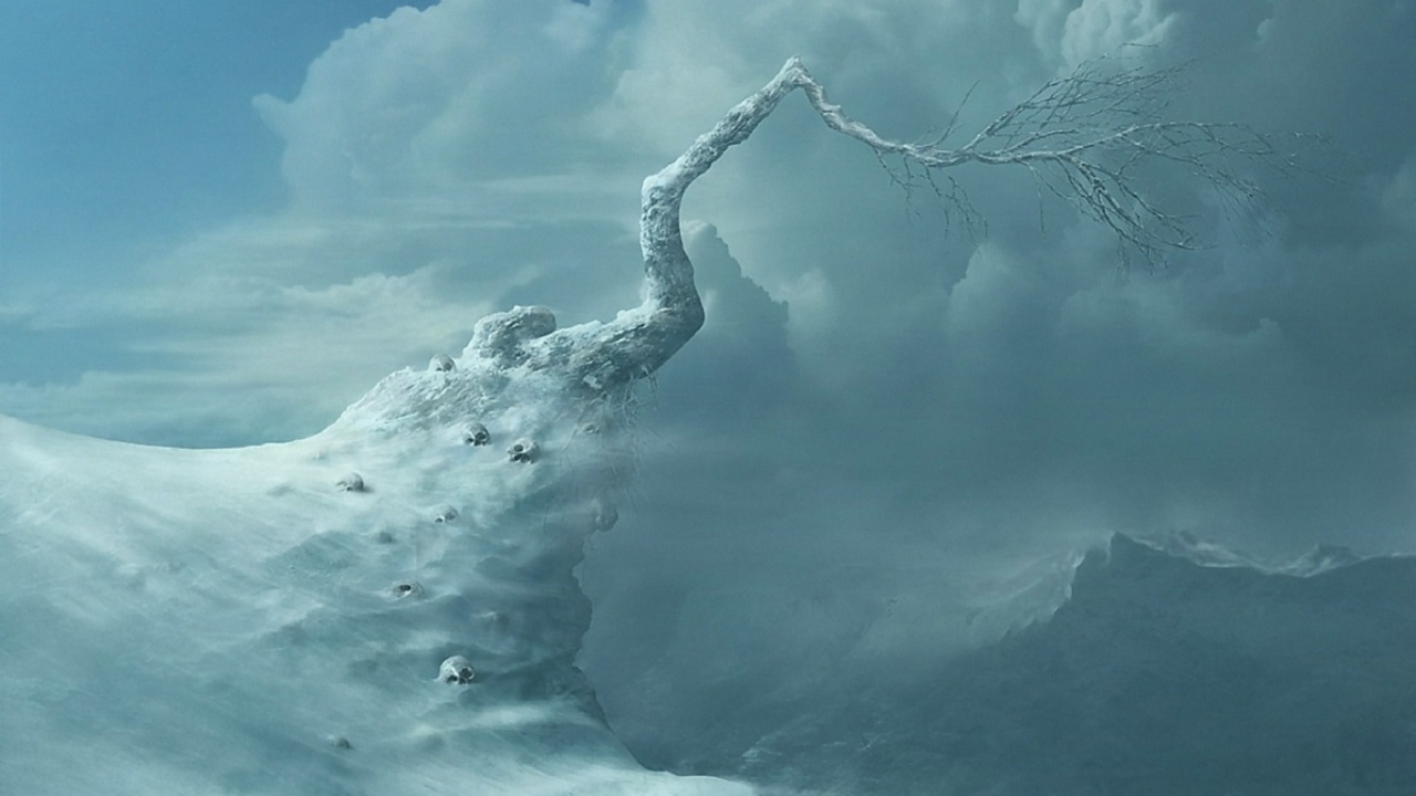 Вершина жизни