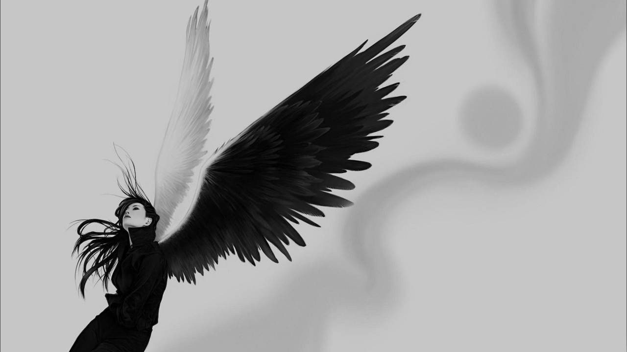 Крылья ангела