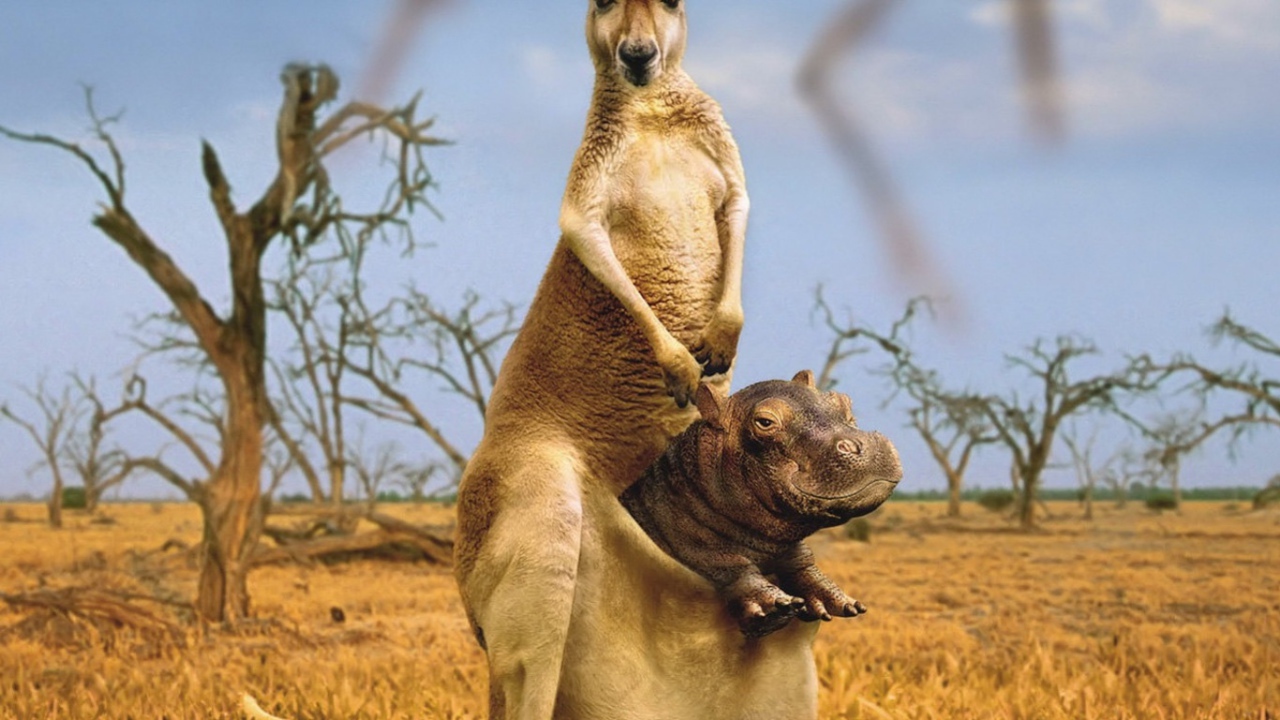 Приемный сын