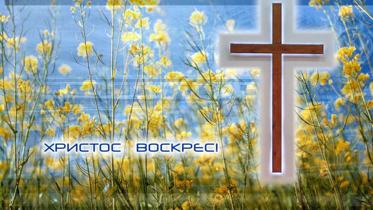 С праздником светлой Пасхи!