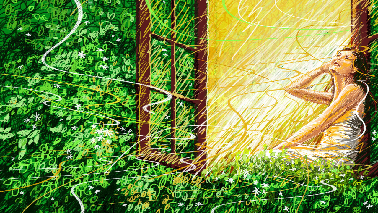 Праздник всех женщин