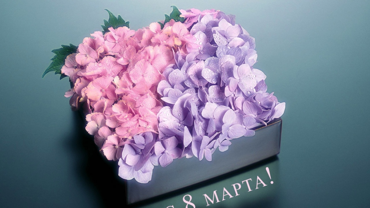 Цветы любимым девчонкам