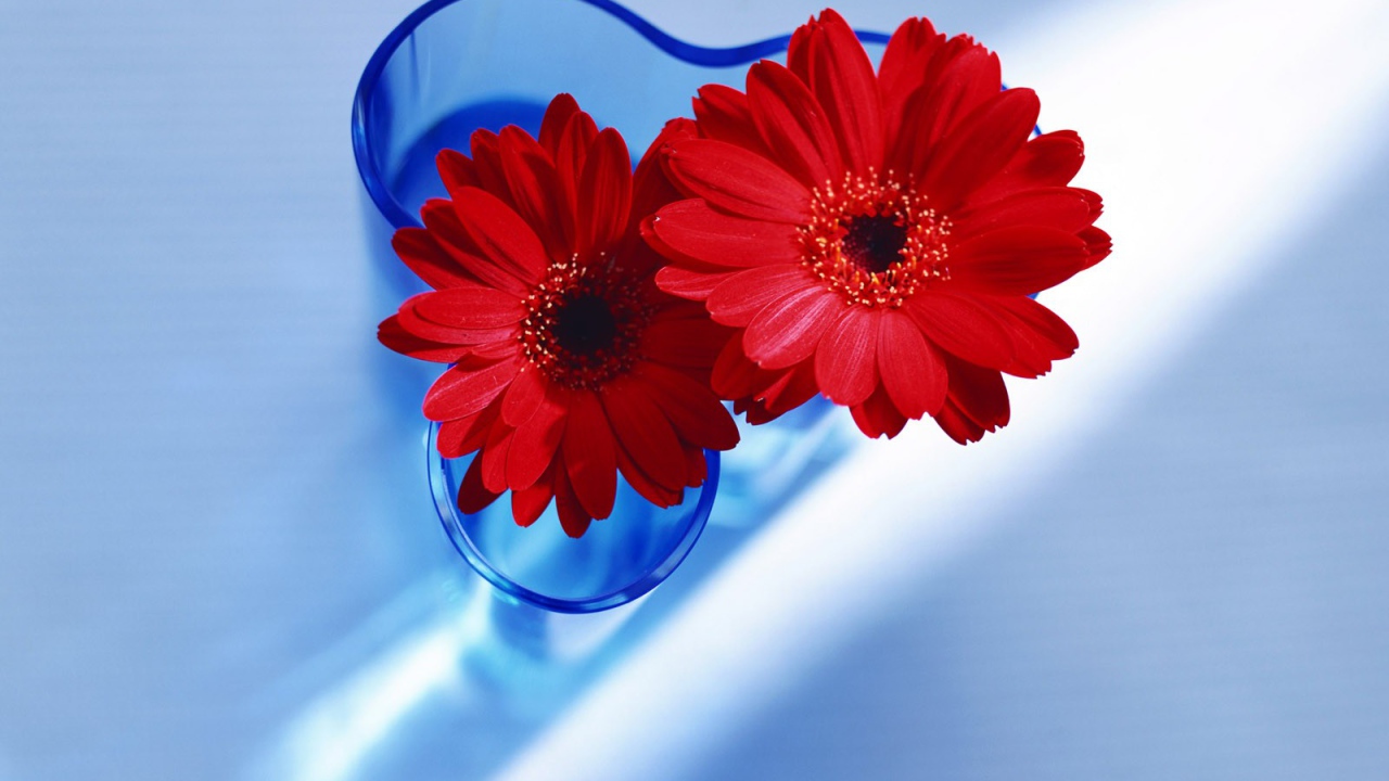 Цветы любимым девушкам на 8 марта