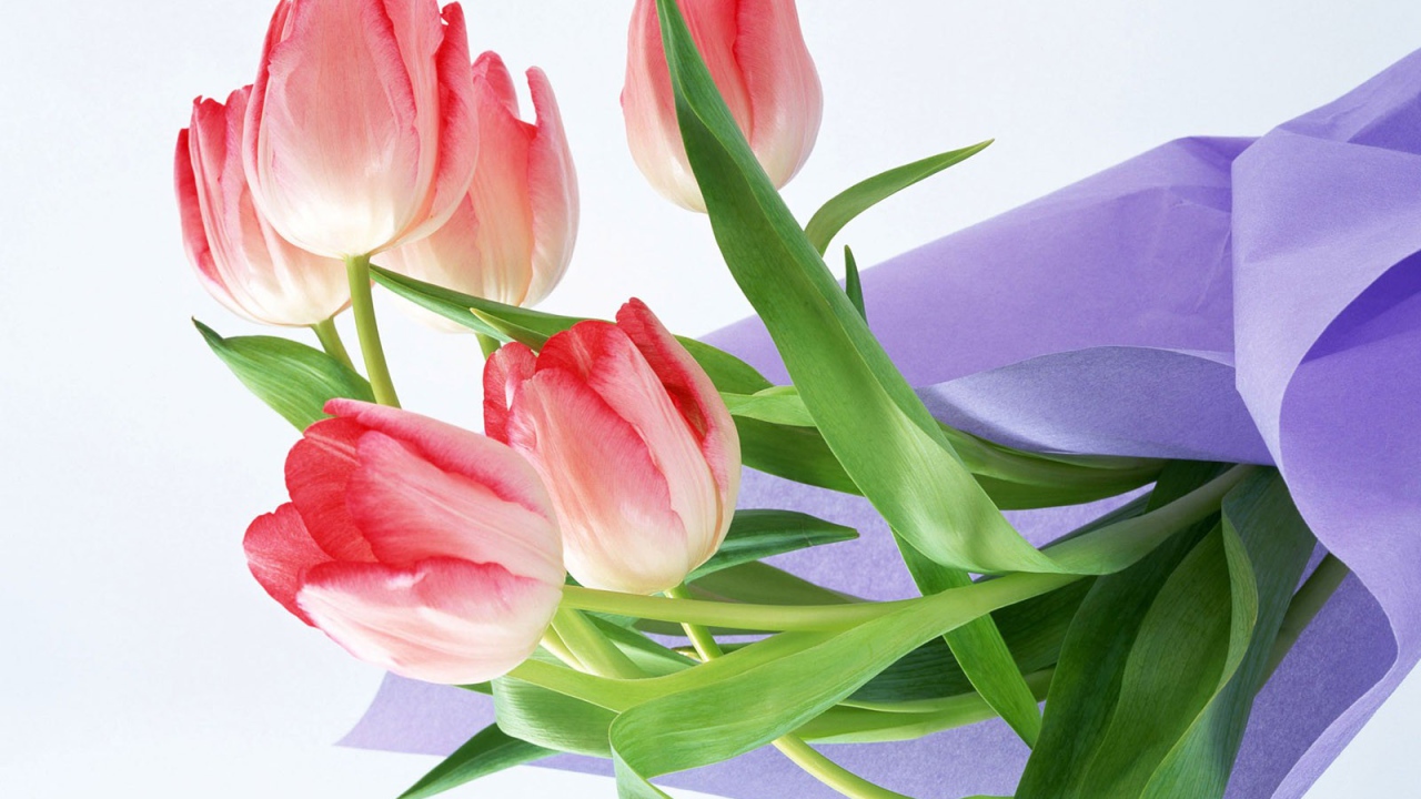 Цветы для любимой леди