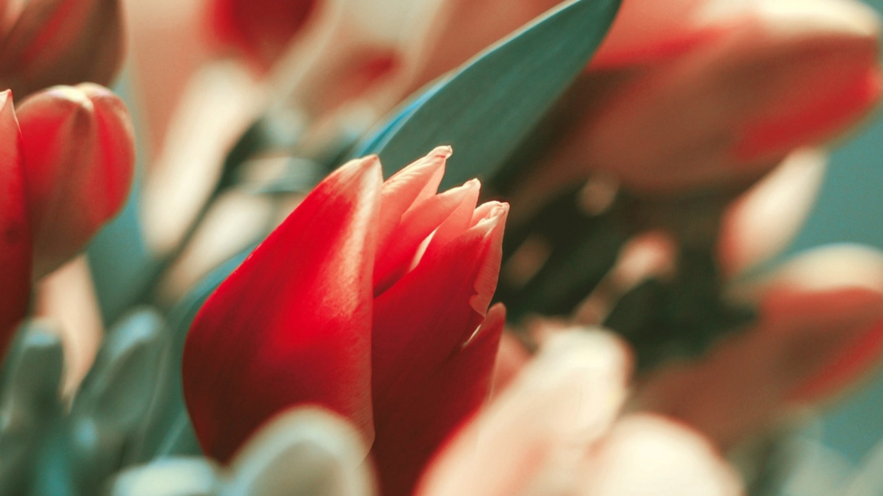 С днем 8 марта!