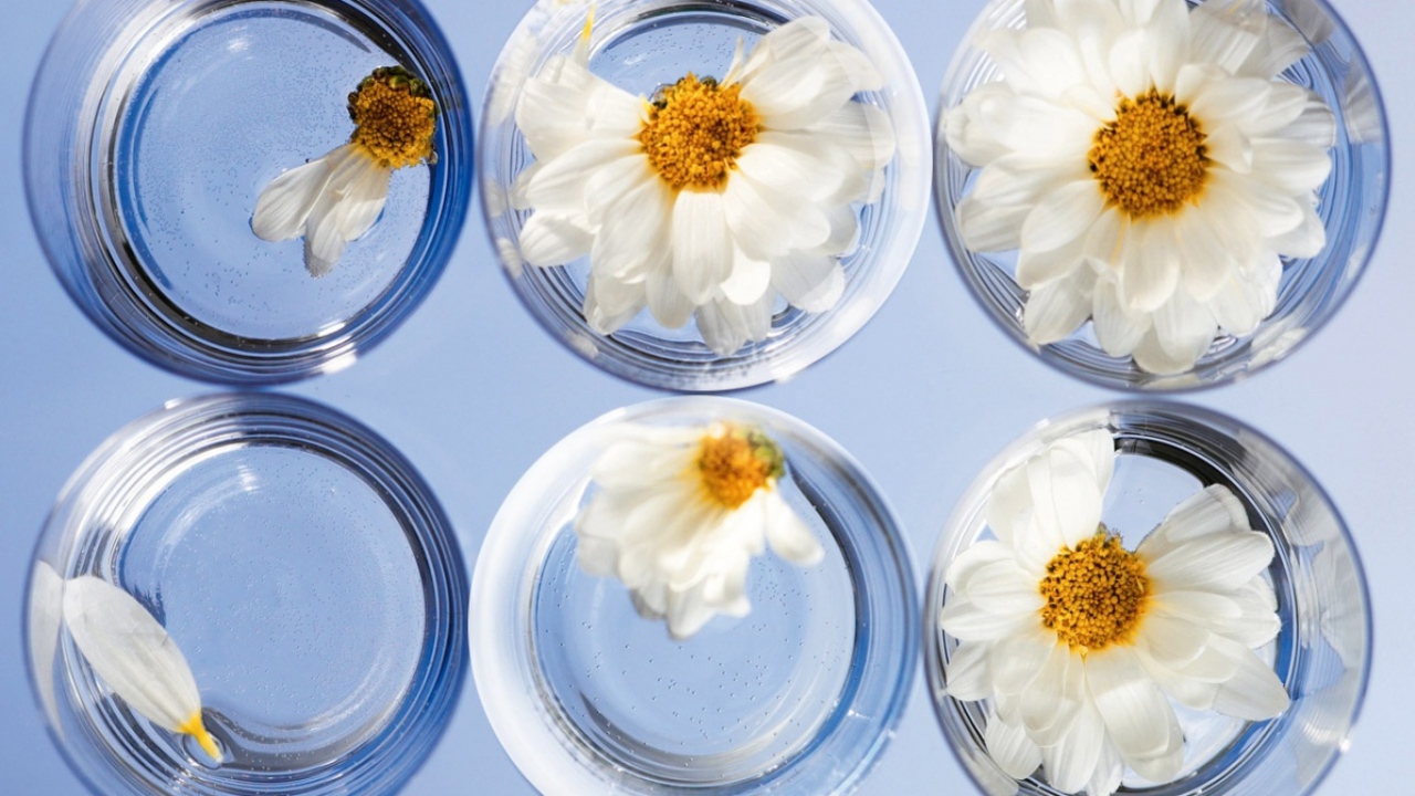 Любит не любит