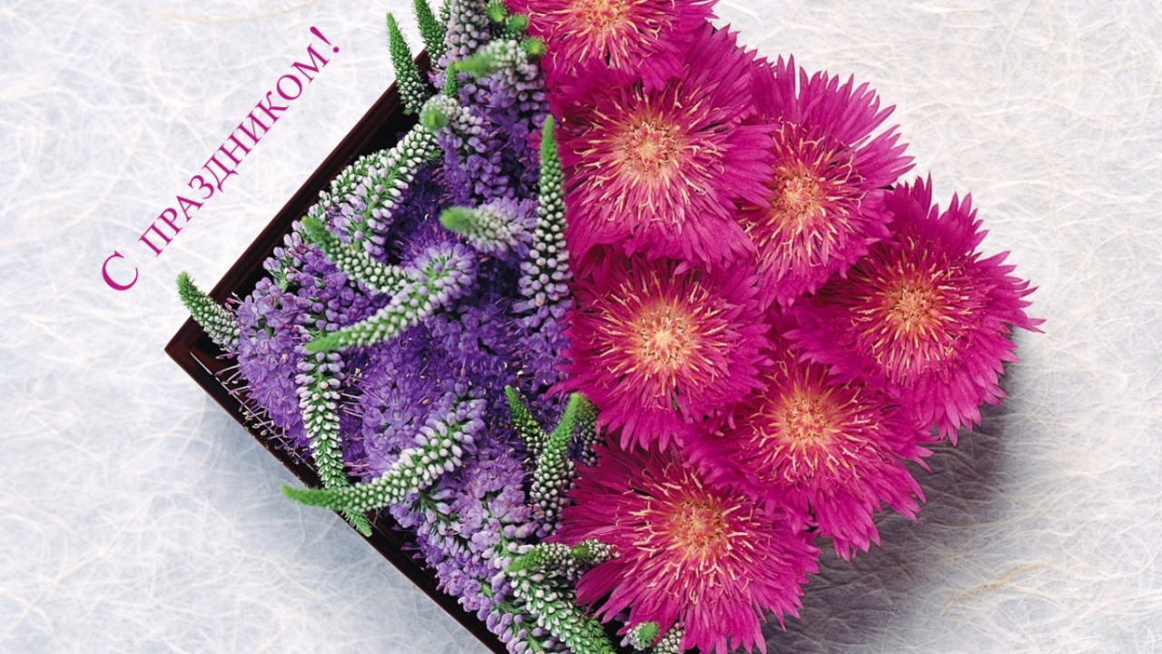 8 марта Международный женский день