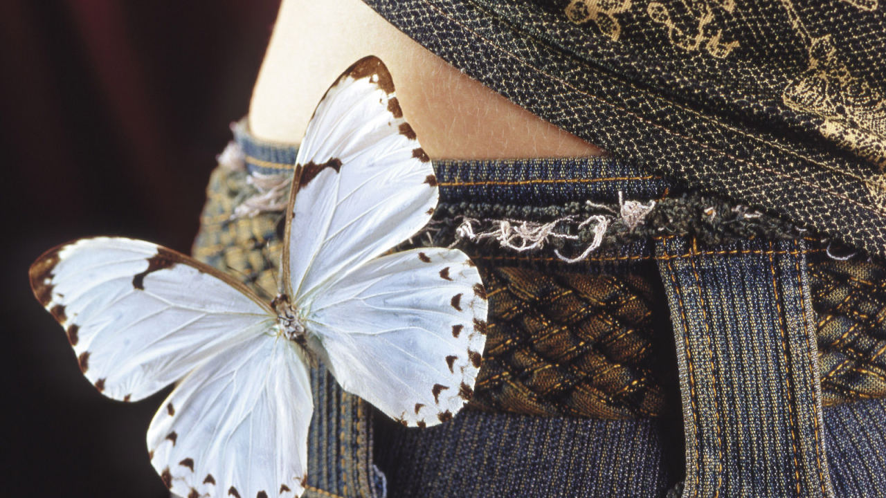 С 8 мартом дорогие женщины