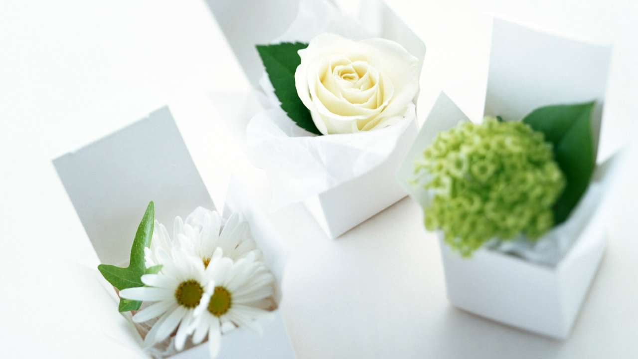 Сюрприз на 8 марта