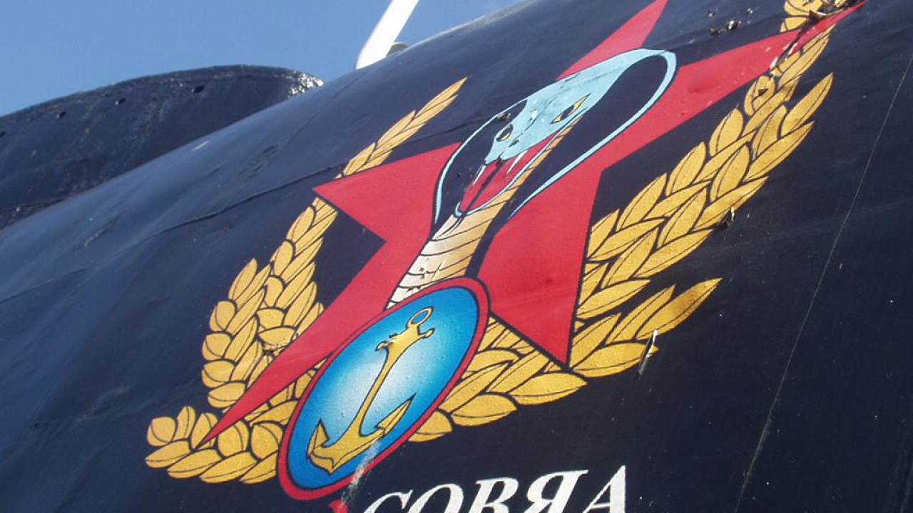 Русская кобра