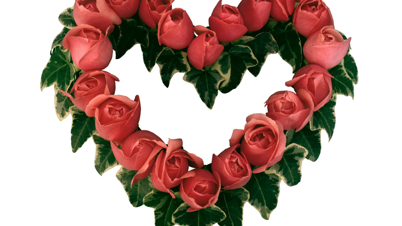 Сердце из роз