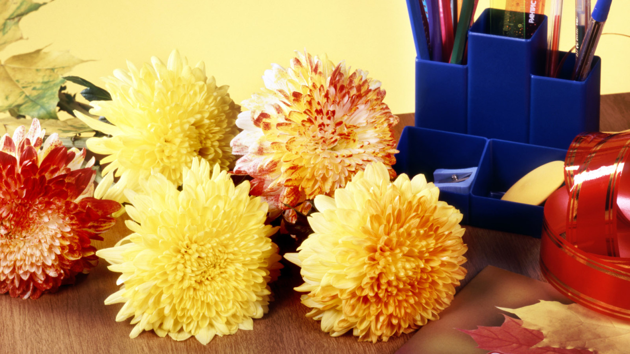 Снова за парту