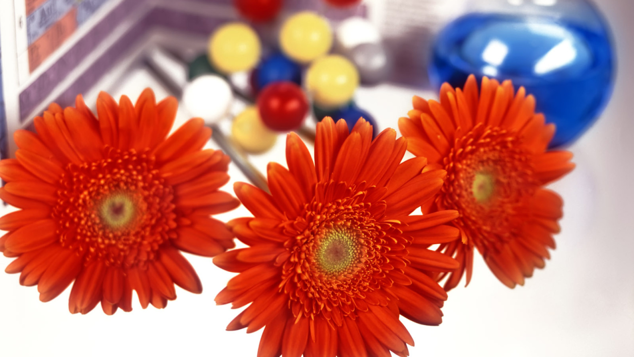 Первый день учебы