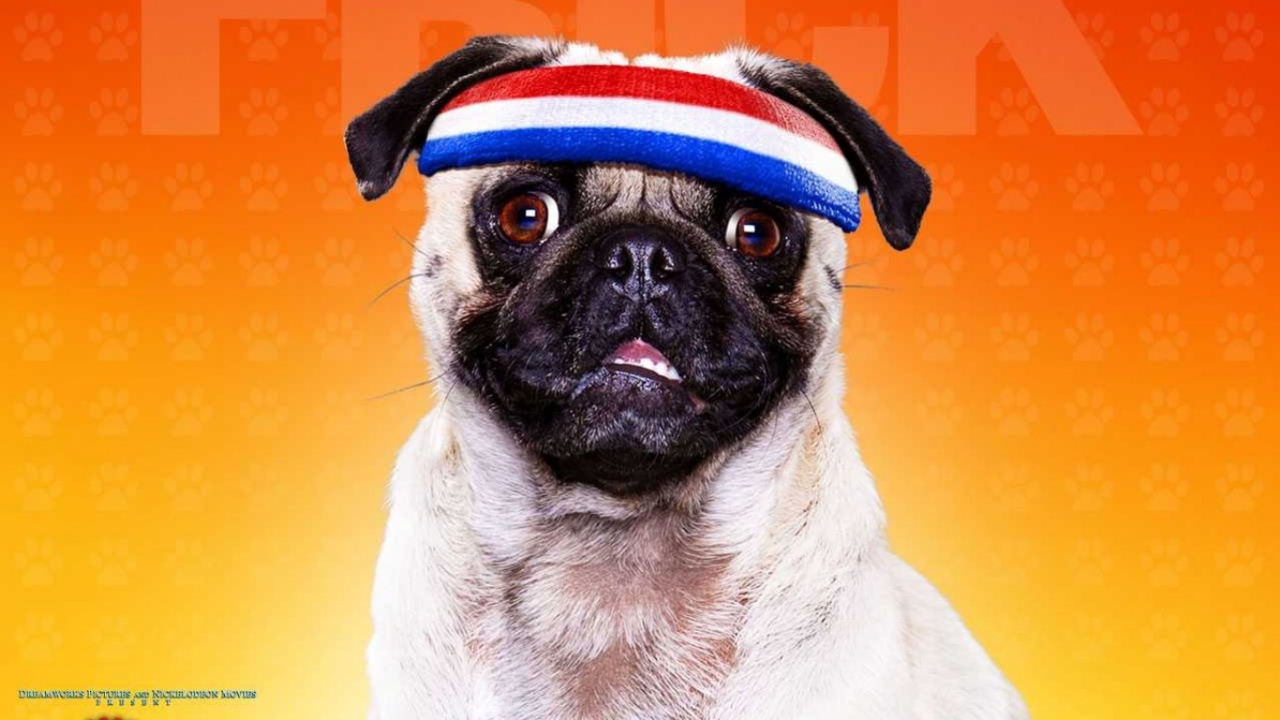 Отель для собак / Hotel for Dogs 2009