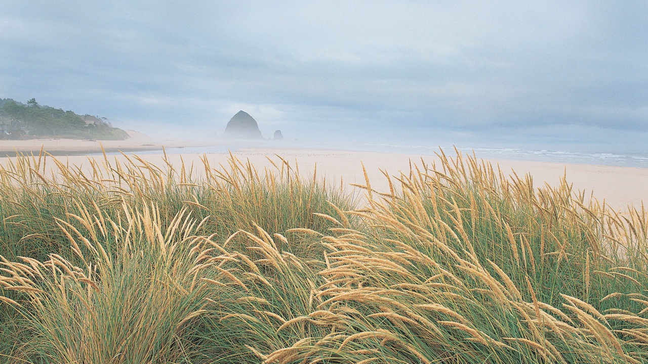 На берегу моря