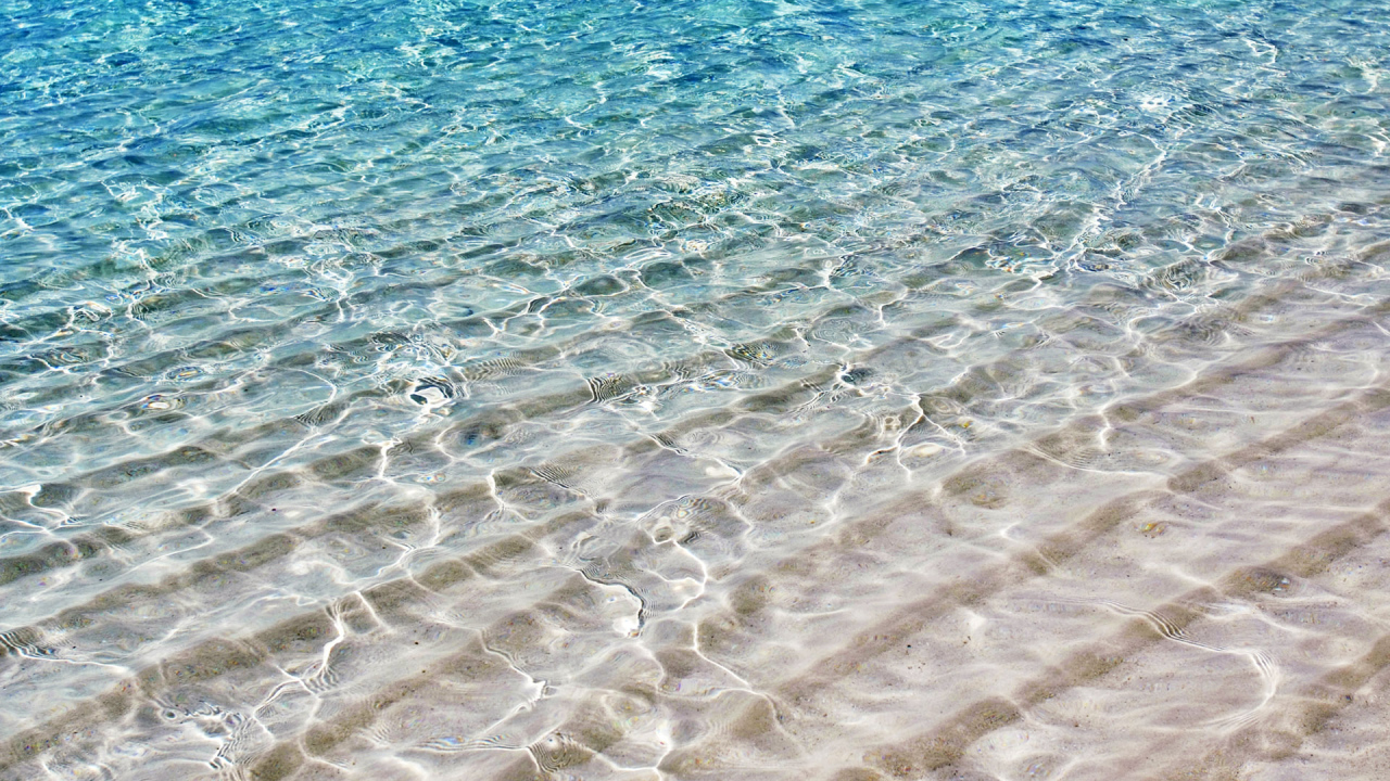 На берегу моря