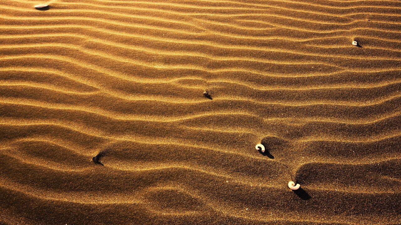 Пляжный песок