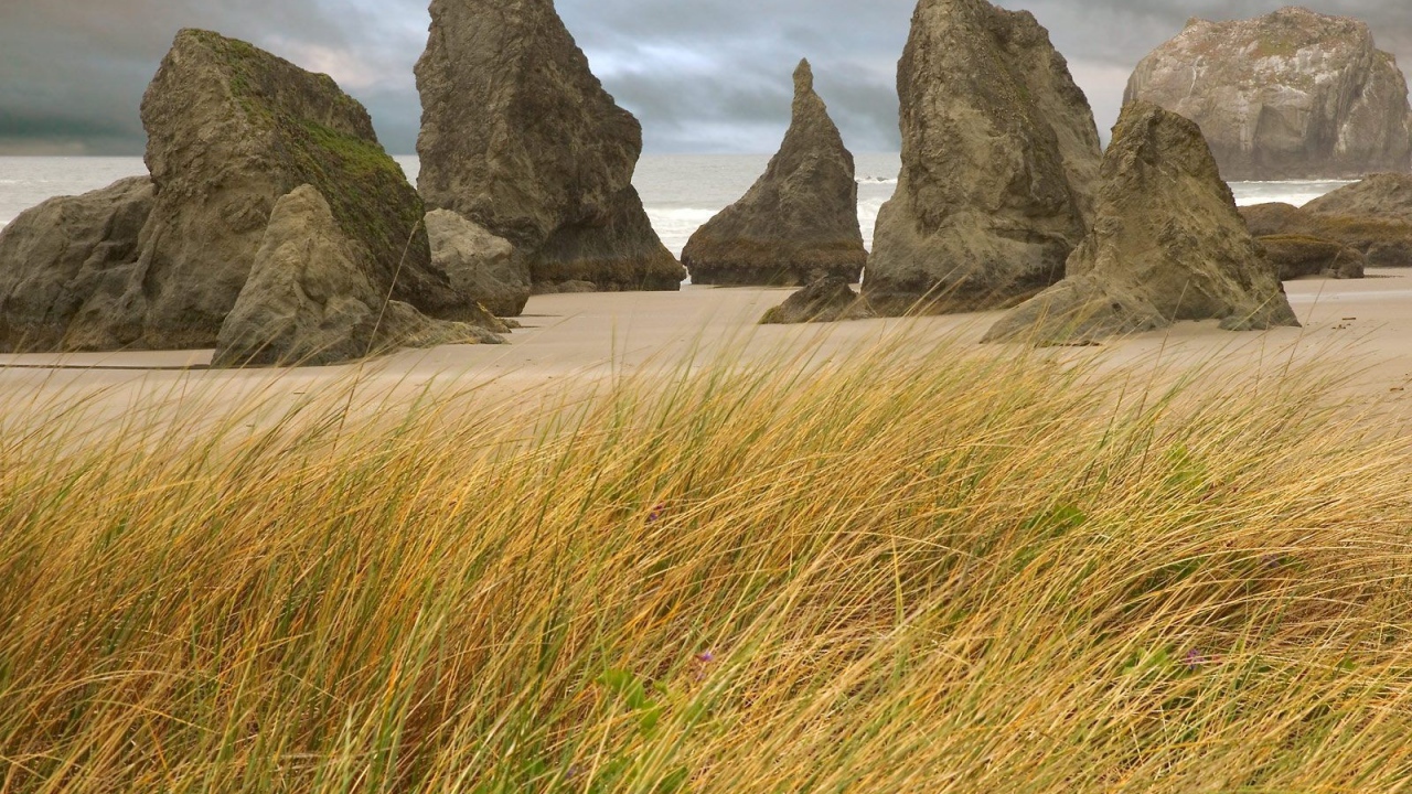 Пребрежные скалы