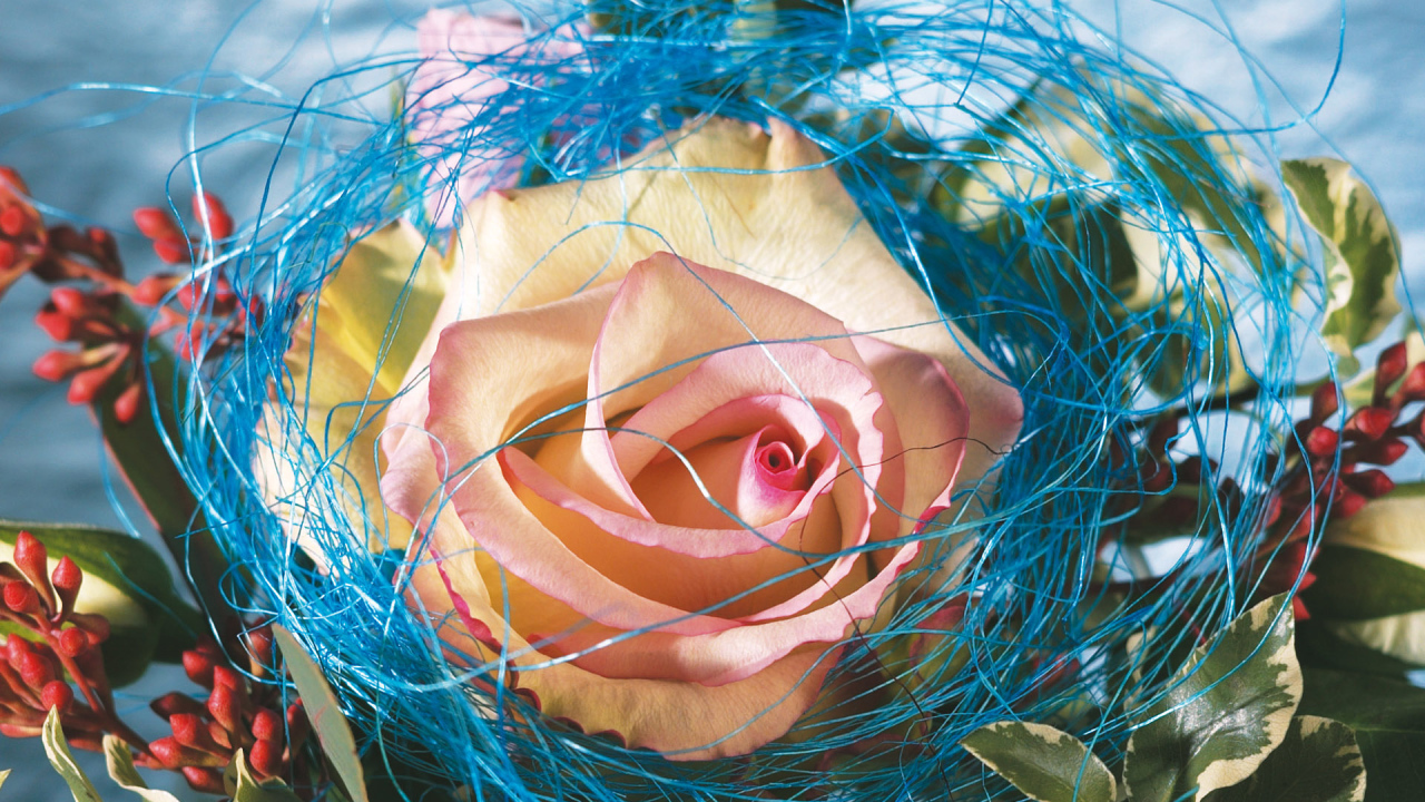 Украшенная роза