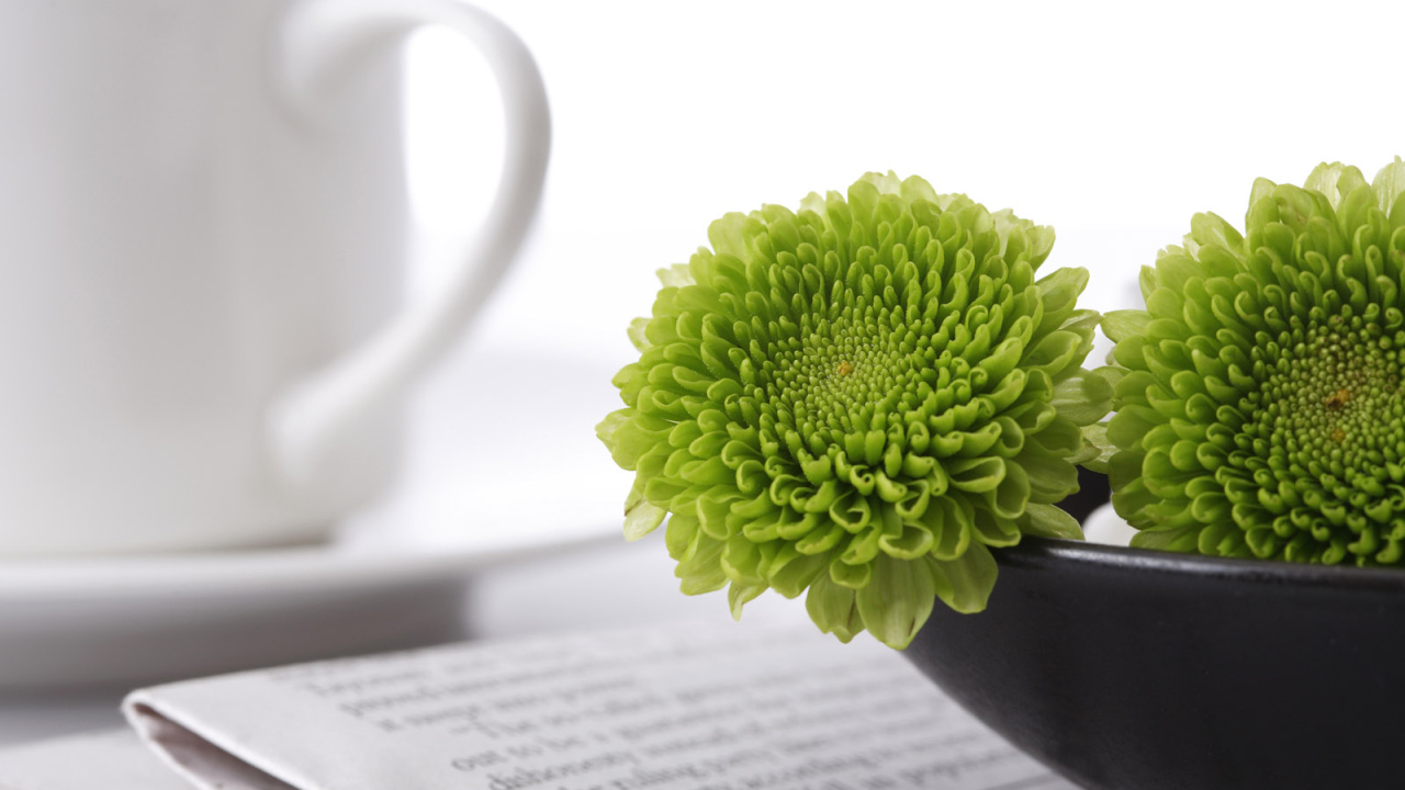 Зеленые цветы