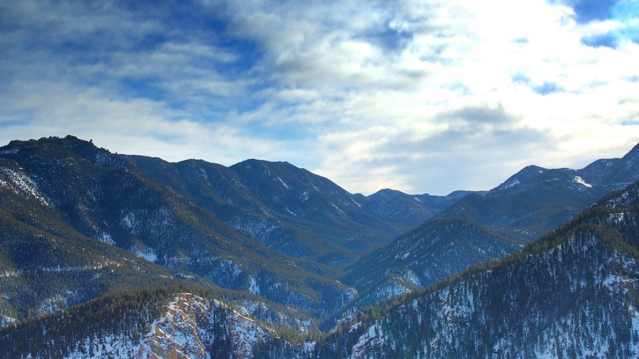 Лес в горах