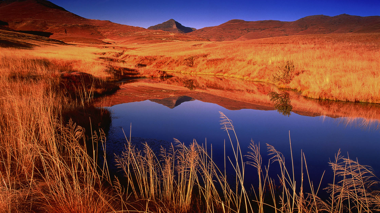 Марс на Земле