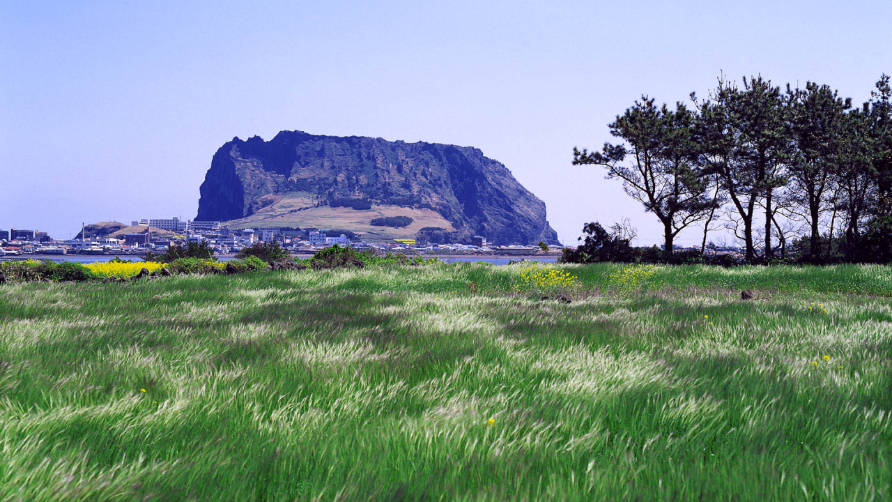 Гора у города