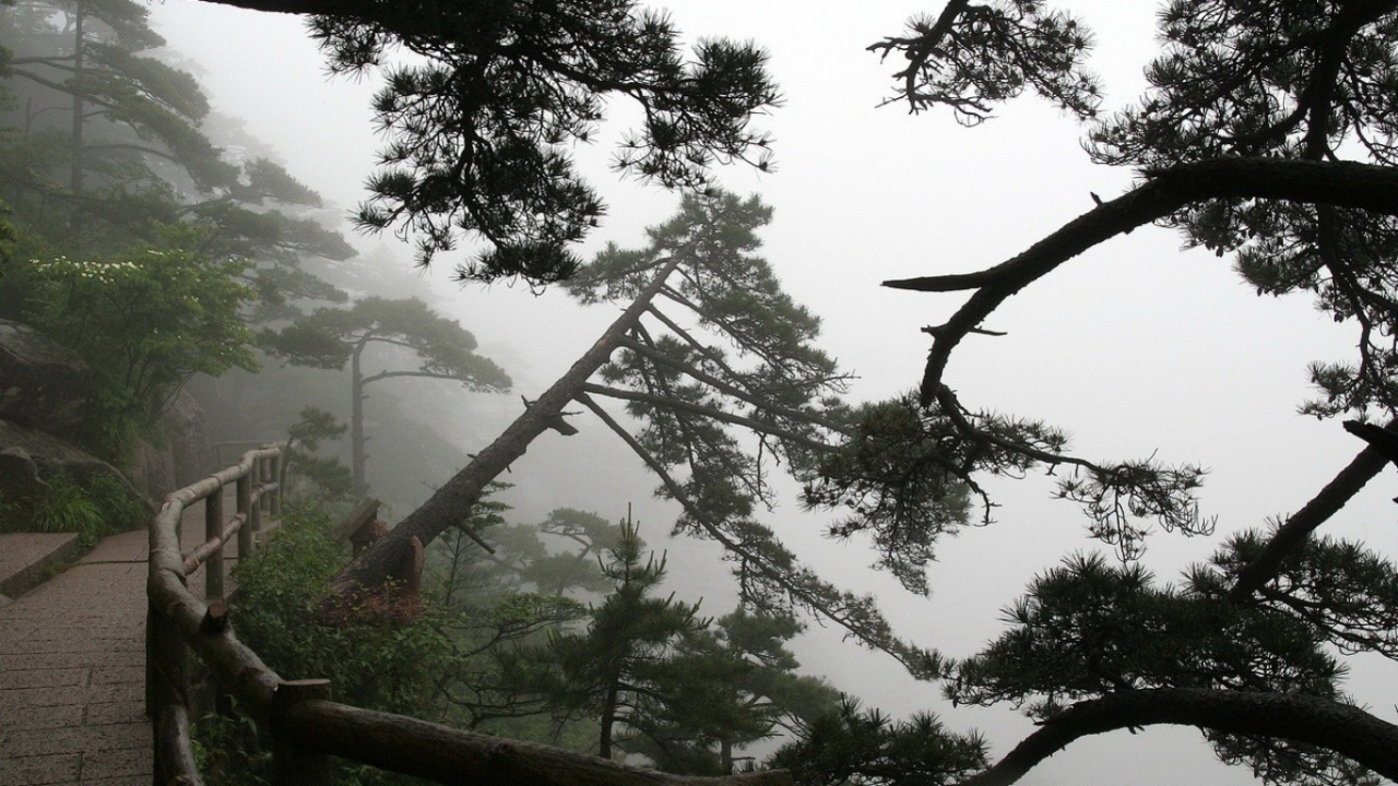 Горная дорожка