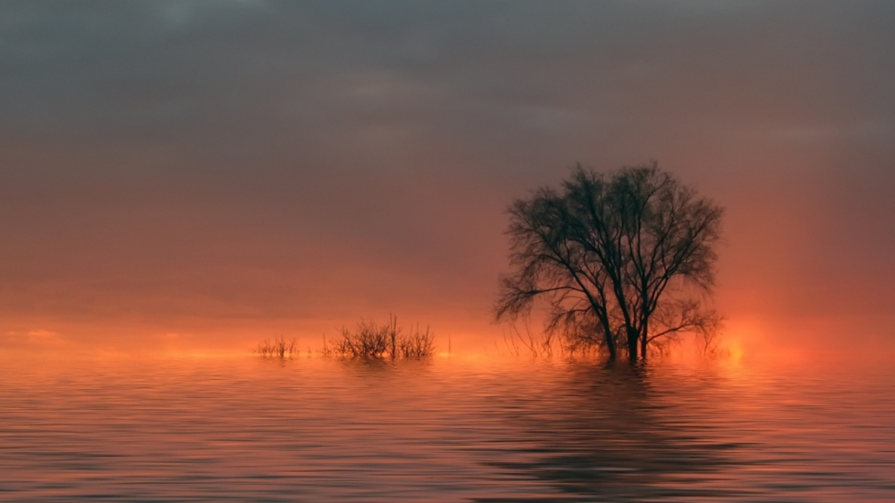 Наводнение