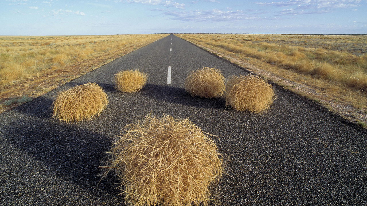 Дорога через пустыню