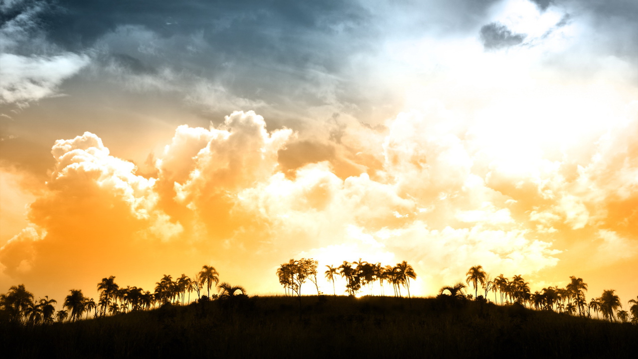 Красивый закат