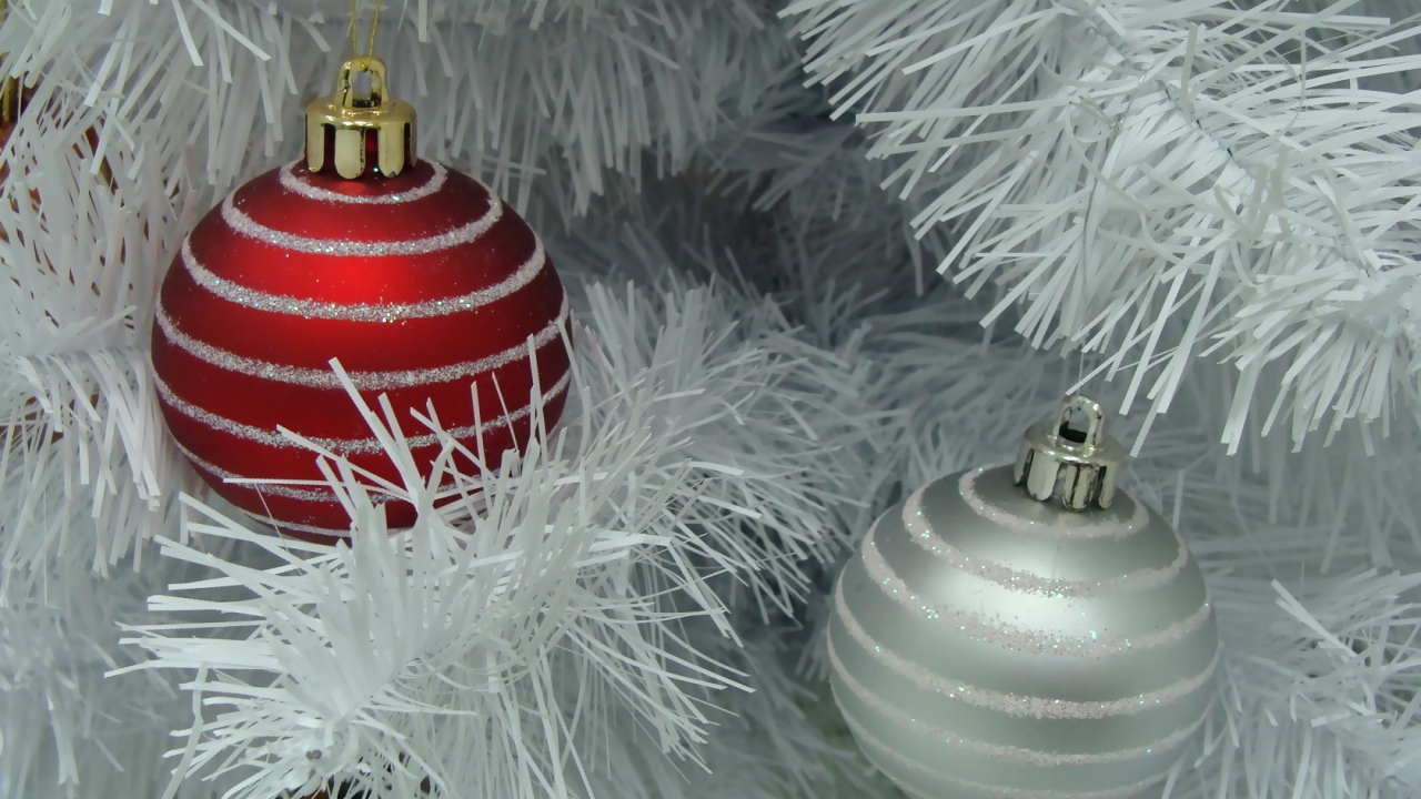 Белые иголки