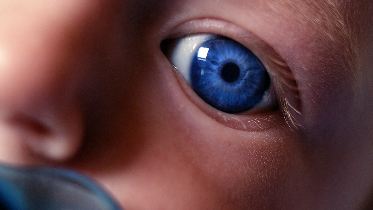 Взгляд на незнакомый мир