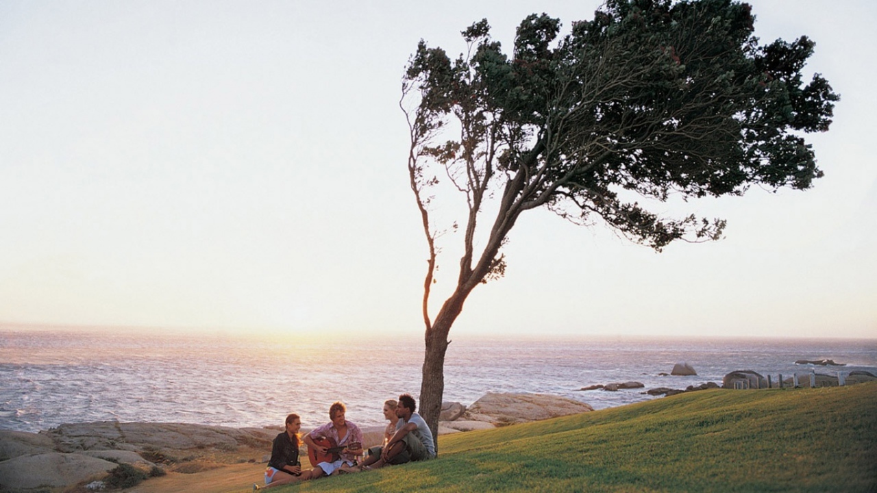 Компания друзей