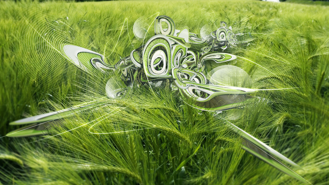 Феноменальная паутина